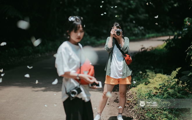 Video rừng Cúc Phương vào mùa bướm: Đẹp như một giấc mơ Video rừng Cúc Phương vào mùa bướm: Đẹp như một giấc mơ